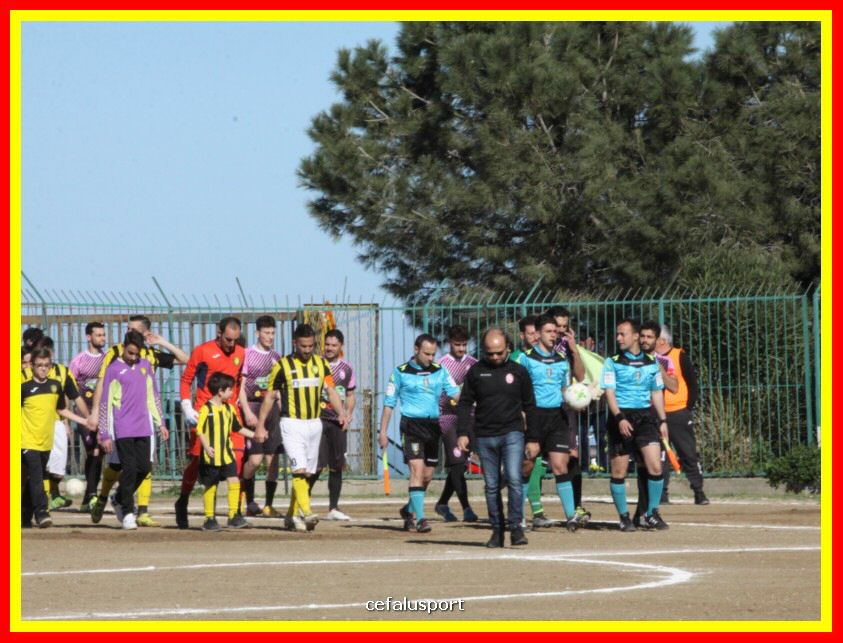 190310 Cephal_Torrenov 021_tn.jpg